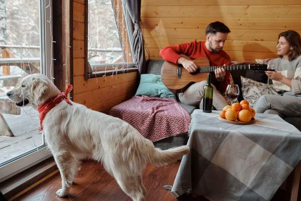 pet-friendly holiday cottages
