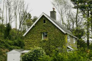Family Cottages in the UK: How to Choose the Right Stay