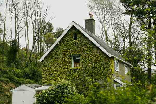 family cottages uk