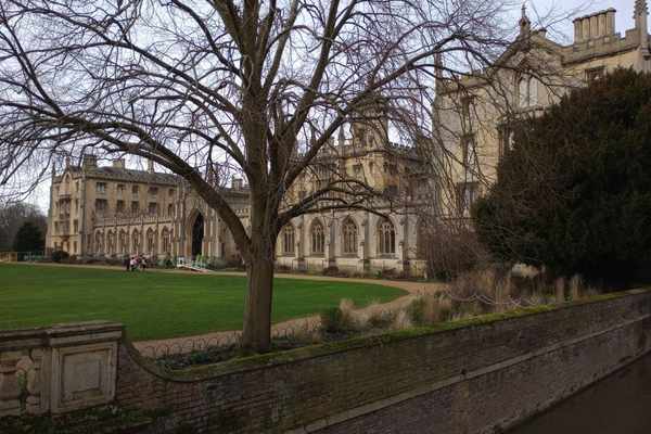 solo travel cambridge